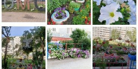 «Мой садик, мой дворик» - ТОС Омска