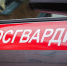 В Камышине росгвардейцы задержали дебошира, который хотел «разнести» продуктовый магазин - Инфокам
