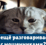 клади трубку. - Каратузский район