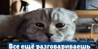 клади трубку. - Каратузский район