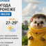 Грозовой финал июля: какая погода ждет Воронеж в ближайшие дни? - Bloknot-Voronezh.Ru