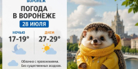 Грозовой финал июля: какая погода ждет Воронеж в ближайшие дни? - Bloknot-Voronezh.Ru