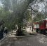 Барнаульская «Премьера» закрыта из-за пожара - 1-LINE