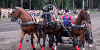 В Вельске прошли конноспортивные соревнования «Гордость Поморья» - ГТРК Поморье