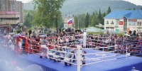 ЛДПР — за спорт и единство: боксёрский турнир объединил регионы - ЛДПР