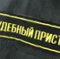 Проснулась совесть: после наказания мать из Башкирии стала платить алименты - Башинформ