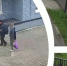 Ярославский губернатор взял на контроль ситуацию нападения на старушку - YarCube.Ru