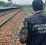 В Самарской области мужчина погиб под поездом - TLT.Ru