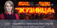 «Кузница»: Лес – одно из главных богатств Псковской области? - Pln-Pskov.Ru