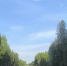 дорога_лето_БА_наше - Петрозаводск говорит