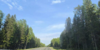 дорога_лето_БА_наше - Петрозаводск говорит