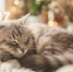 aOdJk0nsDJJVxINcO9c961ShFTaf5pQTiPFcHnpavHq-Ua7fEbG6iLC-N2Fqr_yTI3Sa4o3ymBh1cGoyV7iSJgBC - ЗА Новомосковск