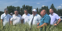 Оренбуржье приступило к уборке урожая - Законодательное Собрание