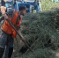В Новотроицке ежемесячно вывозят около 2,5 тысячи тонн мусора - ProOren.Ru
