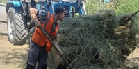 В Новотроицке ежемесячно вывозят около 2,5 тысячи тонн мусора - ProOren.Ru