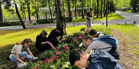 Трудовая бригада Центра профориентации продолжает работу - Городской округ Ступино