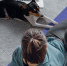 АО - Kaluga-Poisk.Ru