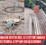 пост 3 - Cityopen.ru