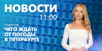 Новости Петербурга к 11:00 - tvspb.ru - ТК Санкт-Петербург