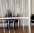Житель Смоленска обвиняется в убийстве племянника - Следственный комитет
