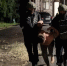 Росгвардейцы оказали силовую поддержку при задержании участников преступной группы в Пермском крае - Росгвардия