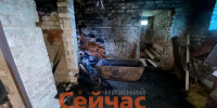 Нижегородская полиция задержала серийного поджигателя - ИА Нижний сейчас