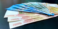 Координатор Приволжского отделения ЛДПР Данилова рассказала о сроках по списанию долгов - ЛДПР