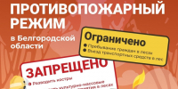 На территории Белгородской области продолжает действовать особый противопожарный режим. - Вейделевский район
