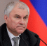 Вячеслав Володин - ИА Общественная служба новостей