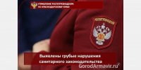 В Армавире из-за антисанитарии закрыли точку общественного питания - GorodArmavir.Ru