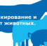 Маркирование и учет животных — важная мера для обеспечения ветеринарной безопасности - Городской округ Баксан
