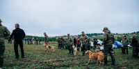 Стартовал прием заявок на VII Открытый республиканский фестиваль-конкурс «Охотники Чувашии-2026» - Министерство природных ресурсов и экологии