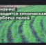 ОБЪЯВЛЕНИЕ О проведении химической обработки сельскохозяйственных угодий ООО «АпХ Кристалл» - Доволенский район