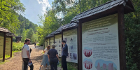 Делегация Алтайского края познакомилась с опытом развития туризма на особо охраняемых природных территориях Красноярского края - Администрация Алтайского края