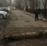 Лишившаяся ноги из-за рухнувшего дерева оренбурженка просит с УК 12 млн рублей - Фото 1 - JustMedia
