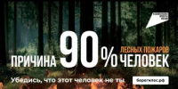 Каждый год в России пожар проходит площадь 100 тысяч гектаров леса - Город Агидель