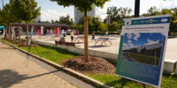 На площади Юности открылась историко-просветительская экспозиция «Зеленоград. Код памяти». - Газета Вести Матушкино