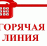 Всероссийская горячая линия по вопросам профилактики энтеровирусной инфекции - Казанский район