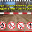 Ограничения посещения лесного массива - Комитет по лесному хозяйству