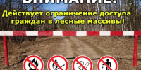 Ограничения посещения лесного массива - Комитет по лесному хозяйству