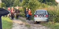 Заблудившегося в лесу грибника искали 15 часов - Netall.Ru