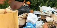 Свалка в центре Барнаула / Фото: пресс-служба ЛДПР - ИА Амител
