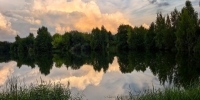 природа лес - Правительство Московской области