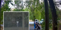 Ребенок упал головой на асфальт: в Волжском самокатчица сбила коляску с годовалой девочкой - Блокнот Волжского