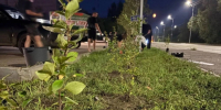 Красота, созданная сообща: Как микрорайон Керамзитный с каждым днем меняет свой облик - Администрация г. Курган