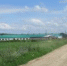 В Малмыжском районе Кировской области сельхозпредприятие привлечено к ответственности за нарушения ветеринарного законодательства при содержании крупного рогатого скота - Россельхознадзор
