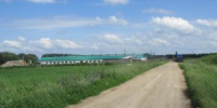 В Малмыжском районе Кировской области сельхозпредприятие привлечено к ответственности за нарушения ветеринарного законодательства при содержании крупного рогатого скота - Россельхознадзор