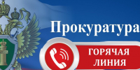 «горячая линия» по вопросам исполнения законодательства при предоставлении государственных и муниципальных услуг. - Кикнурский округ