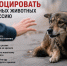 Не провоцируй животное на агрессию!. - Бабынинский район