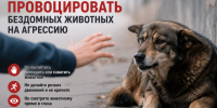 Не провоцируй животное на агрессию!. - Бабынинский район